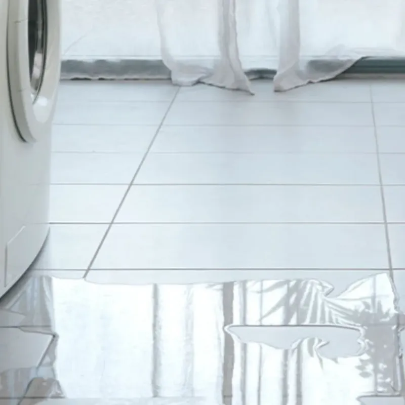 Appliance Leak Cleanup in Princeton, MN