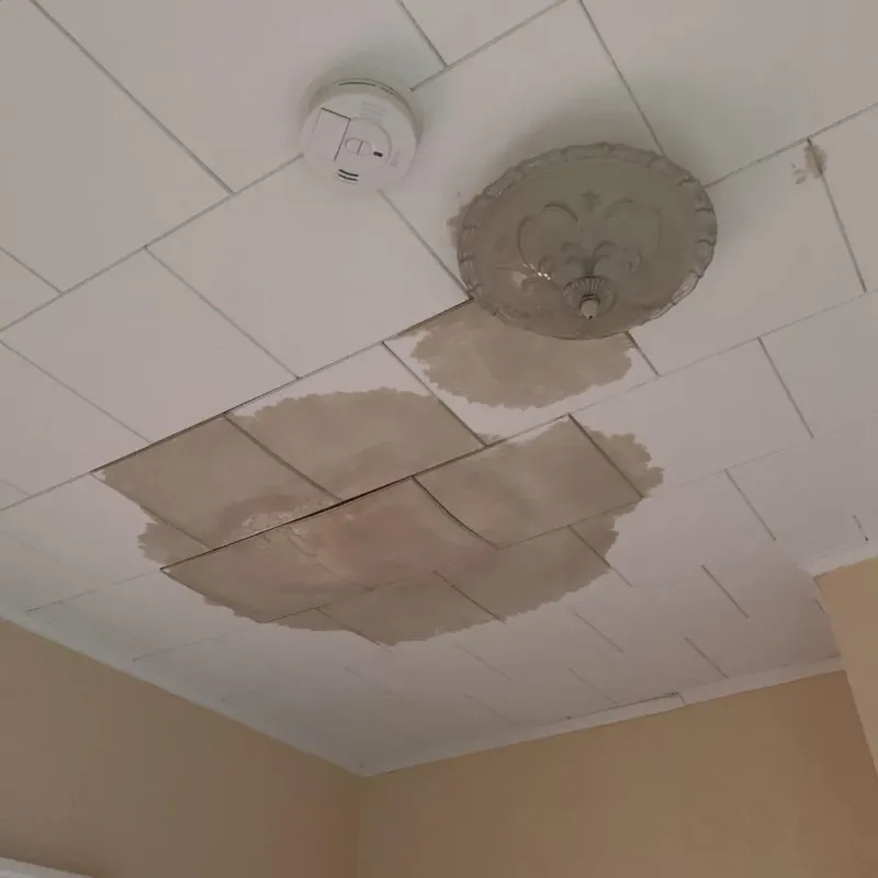 Ceiling Water Damage Repair in Princeton, MN