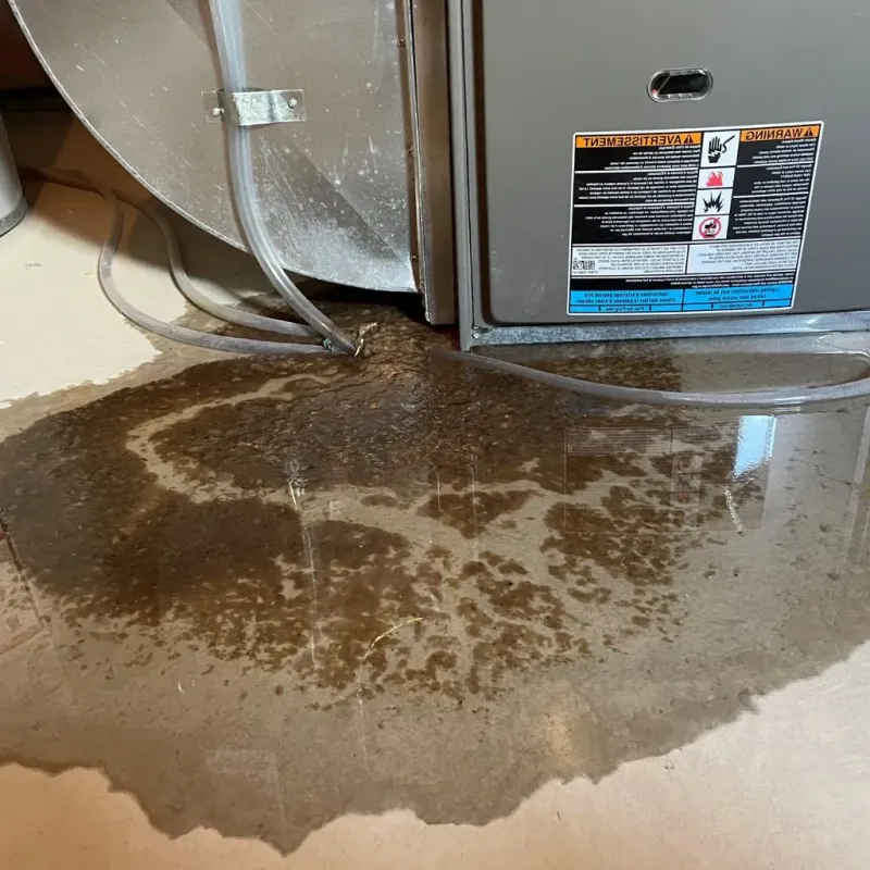 Pipe Burst and Leak Restoration in Princeton, MN