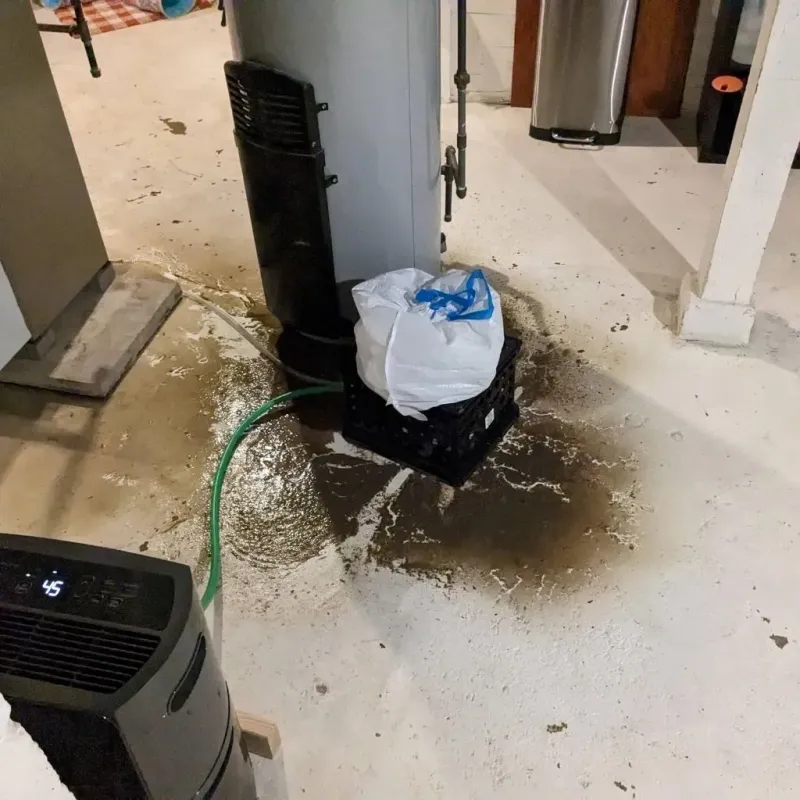 Sewage Backup Cleanup Service in Princeton, MN